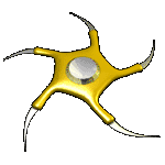   Star of Forgotten Dreams